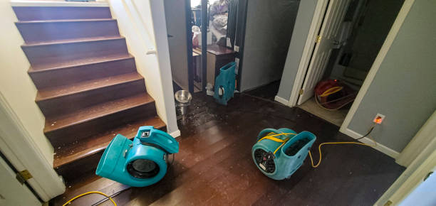  Harristown, IL Water damage restoration Pros