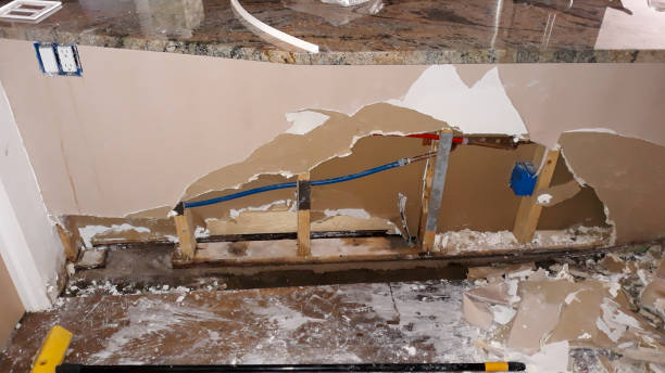 Best Water damage mitigation services  in Harristown, IL
