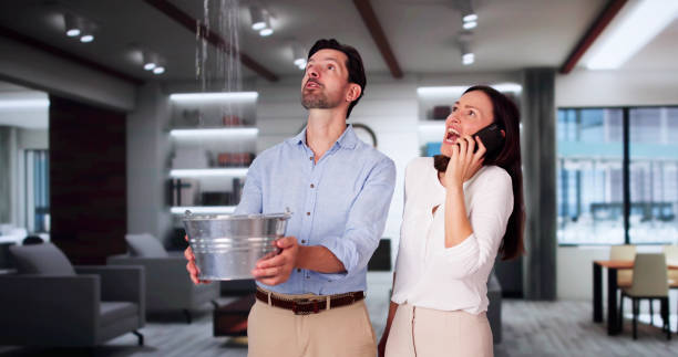 Best Ceiling water damage repair  in Harristown, IL